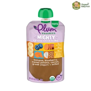 Plum Organics Organic Toddler Blueberry